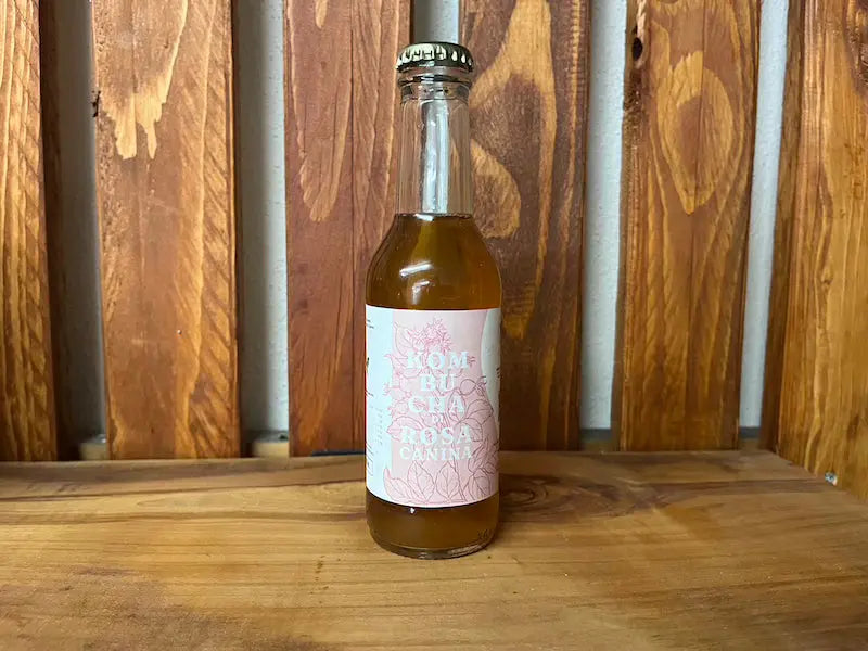 Kombucha_rosa_canina