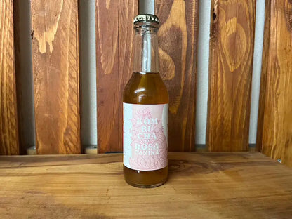 Kombucha_rosa_canina